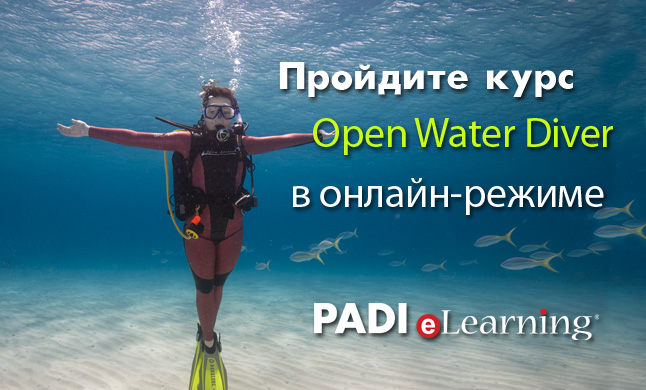 Курсы Online