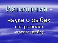 словарь