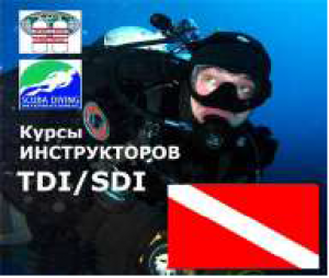 курсы